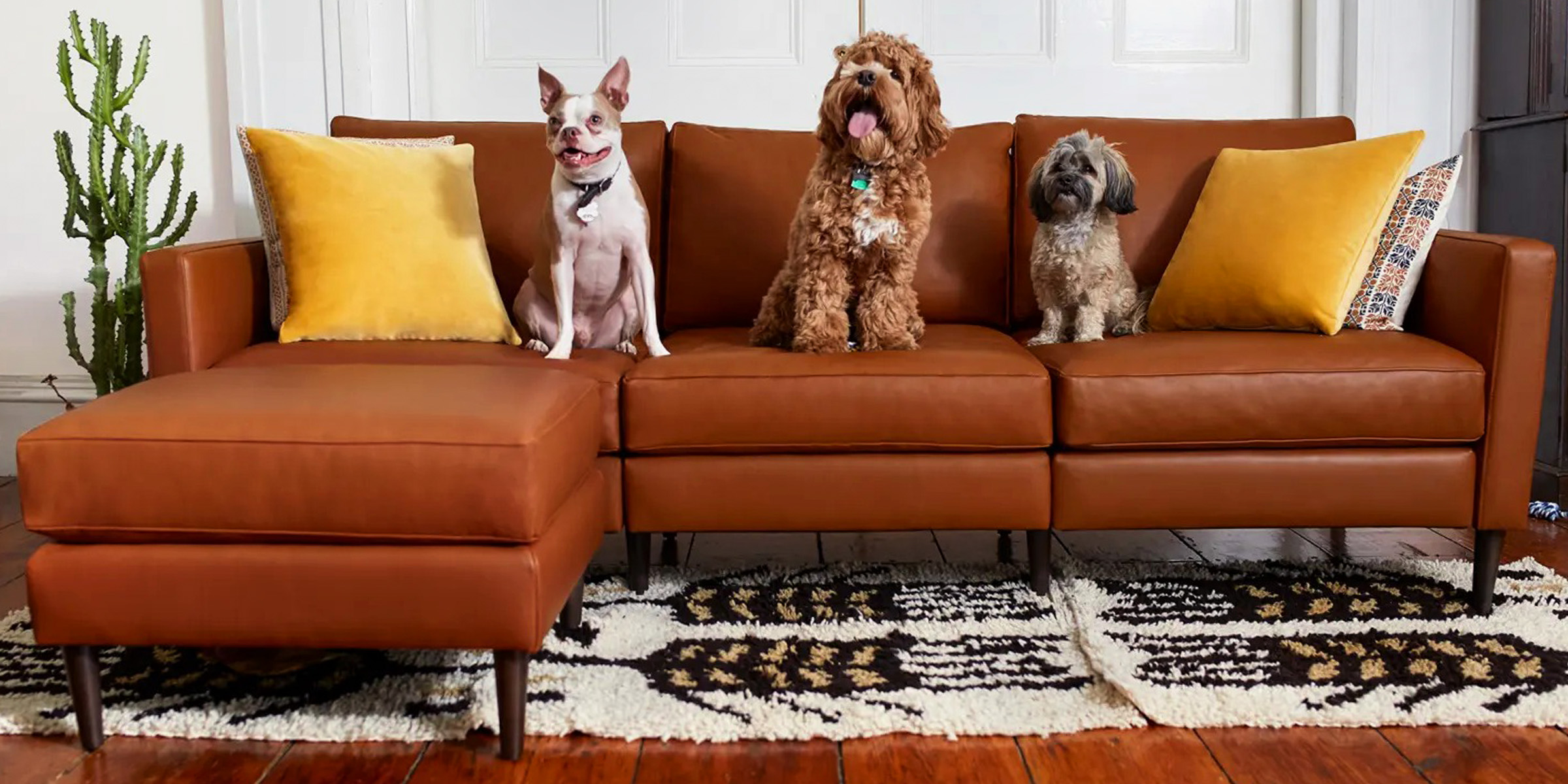 Allform Sofa Reviews