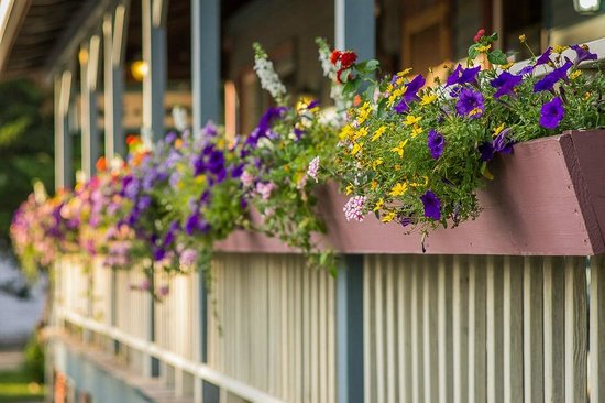 Eden Railings