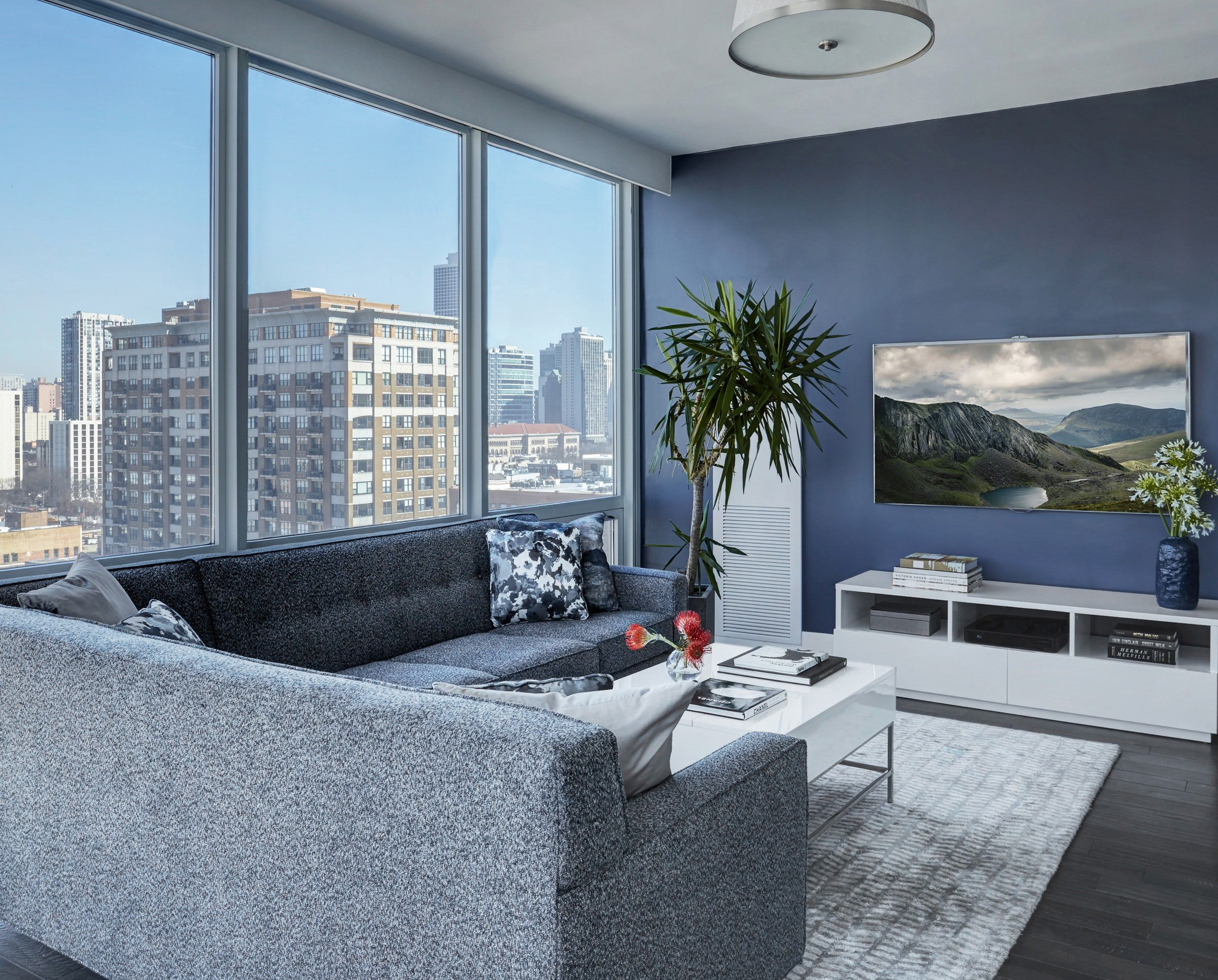 Navy Blue Accent Walls
