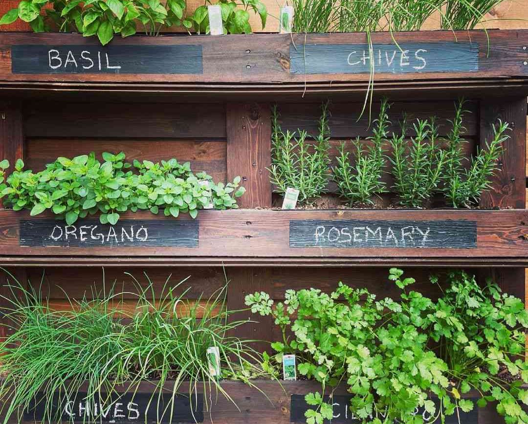 Style Up with an Herb Garden