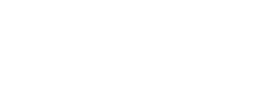 fox-13